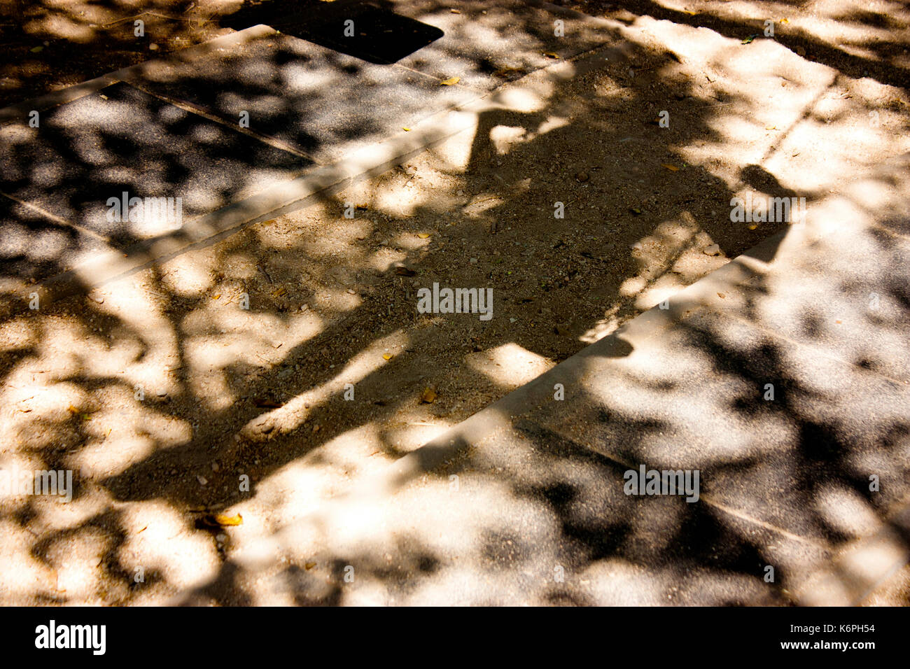 Verschwommene Schatten von einem jugendlich Person auf einer Schaukel und einem Zweig der Baumstruktur Stockfoto