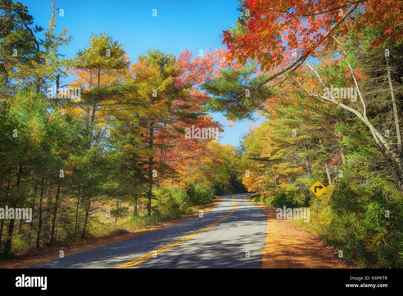 Kurvenreiche Straße Kurven durch bunte Herbstlaub in New England Stockfoto