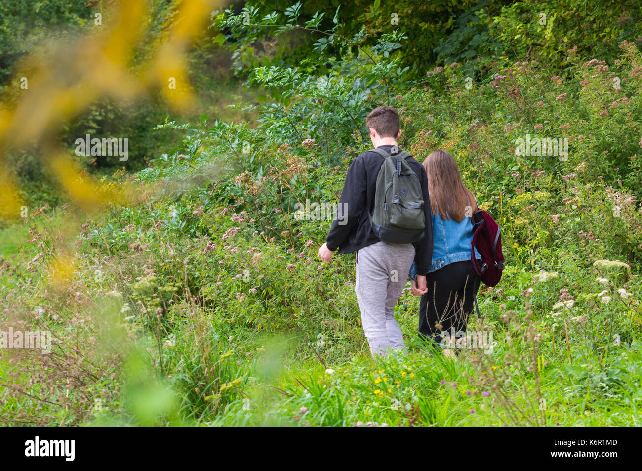 Junges Paar wandern in der Natur, Hände halten, in Großbritannien. Stockfoto