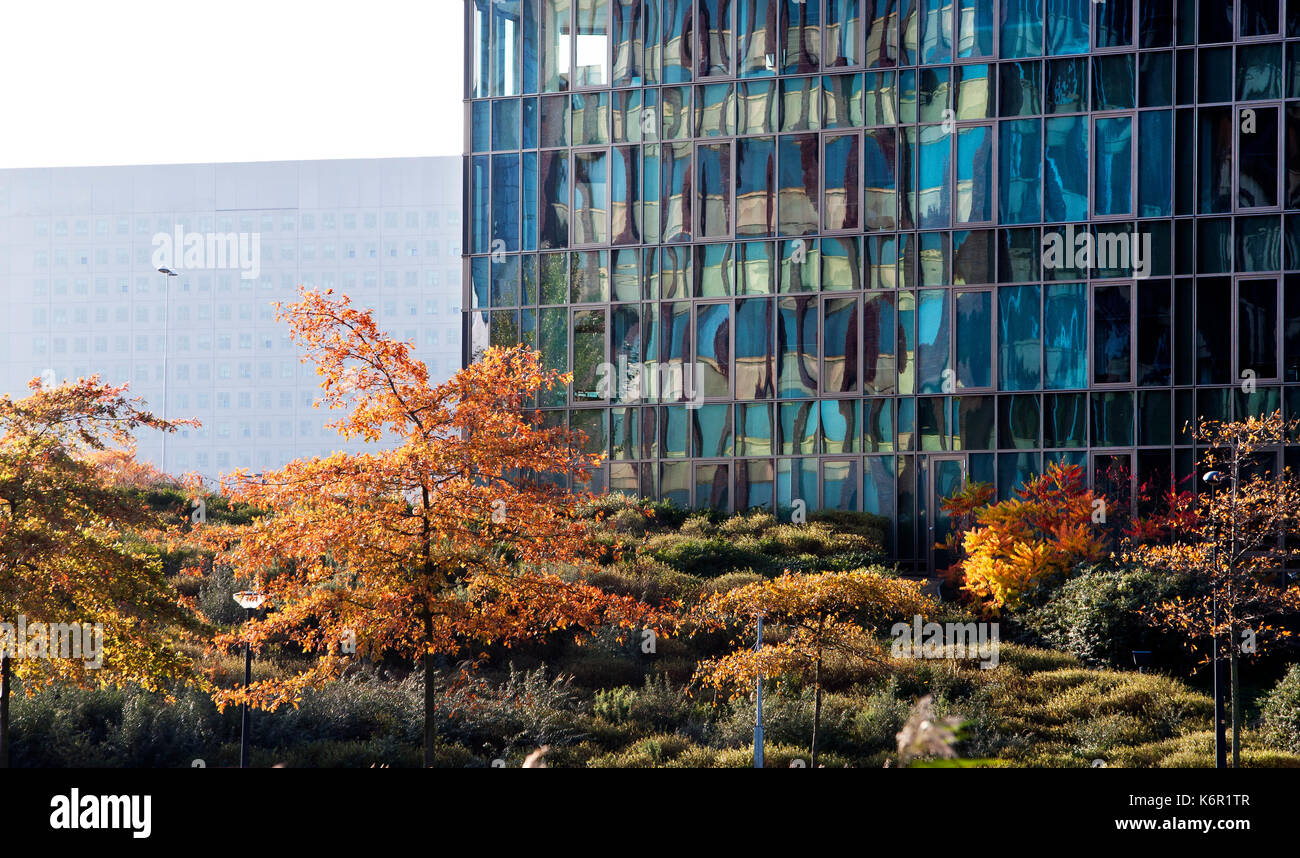 Schöne Kombination von Bäumen im Herbst und ein modernes Bürogebäude mit einem älteren Gebäude im Hintergrund Stockfoto