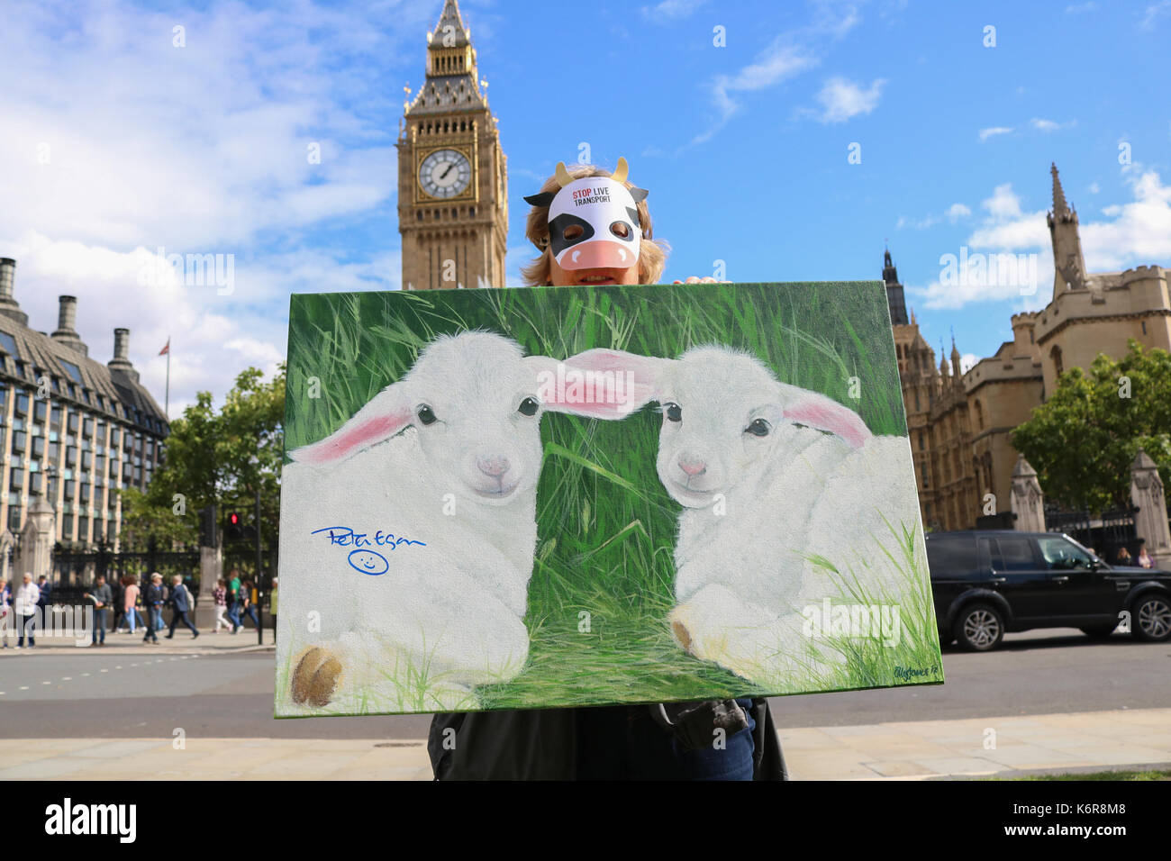 London, Großbritannien. 13 Sep, 2017. Die Tierschützer in Parliament Square als Teil von Mitgefühl für die Welt der Landwirtschaft eingesetzt, um die unmenschliche Behandlung und das Leiden von Millionen von lebenden Tieren beeing Tausende von Kilometern transportiert und die Ausfuhr lebender Tiere verbieten, da sie schlachten Credit Gesicht: Amer ghazzal/Alamy leben Nachrichten Stockfoto