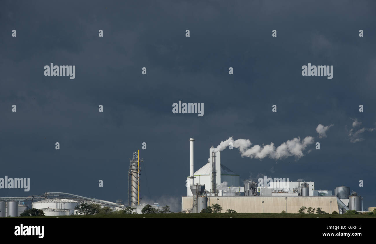 Wanzleben-Boerde, Deutschland. 13 Sep, 2017. Die Räumlichkeiten der Nordzucker in Wanzleben-Boerde, Deutschland, 13. September 2017. Mit dem Beginn des Herbstes und die rübenernte Zucker und Bioethanol wird die Produktion zu starten. Foto: Klaus-Dietmar Gabbert/dpa-Zentralbild/ZB/dpa/Alamy leben Nachrichten Stockfoto