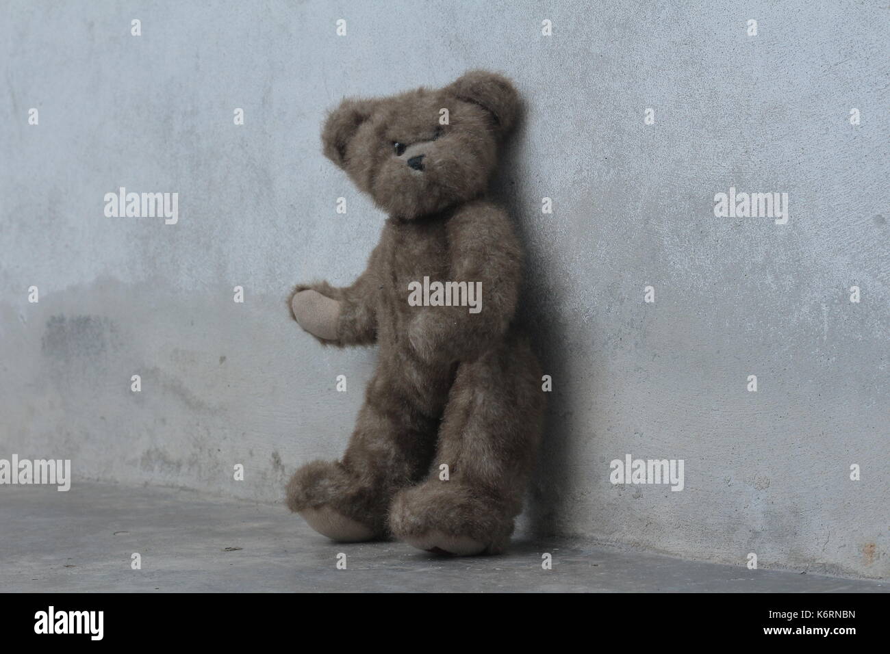 Teddybär stand alone Stockfoto