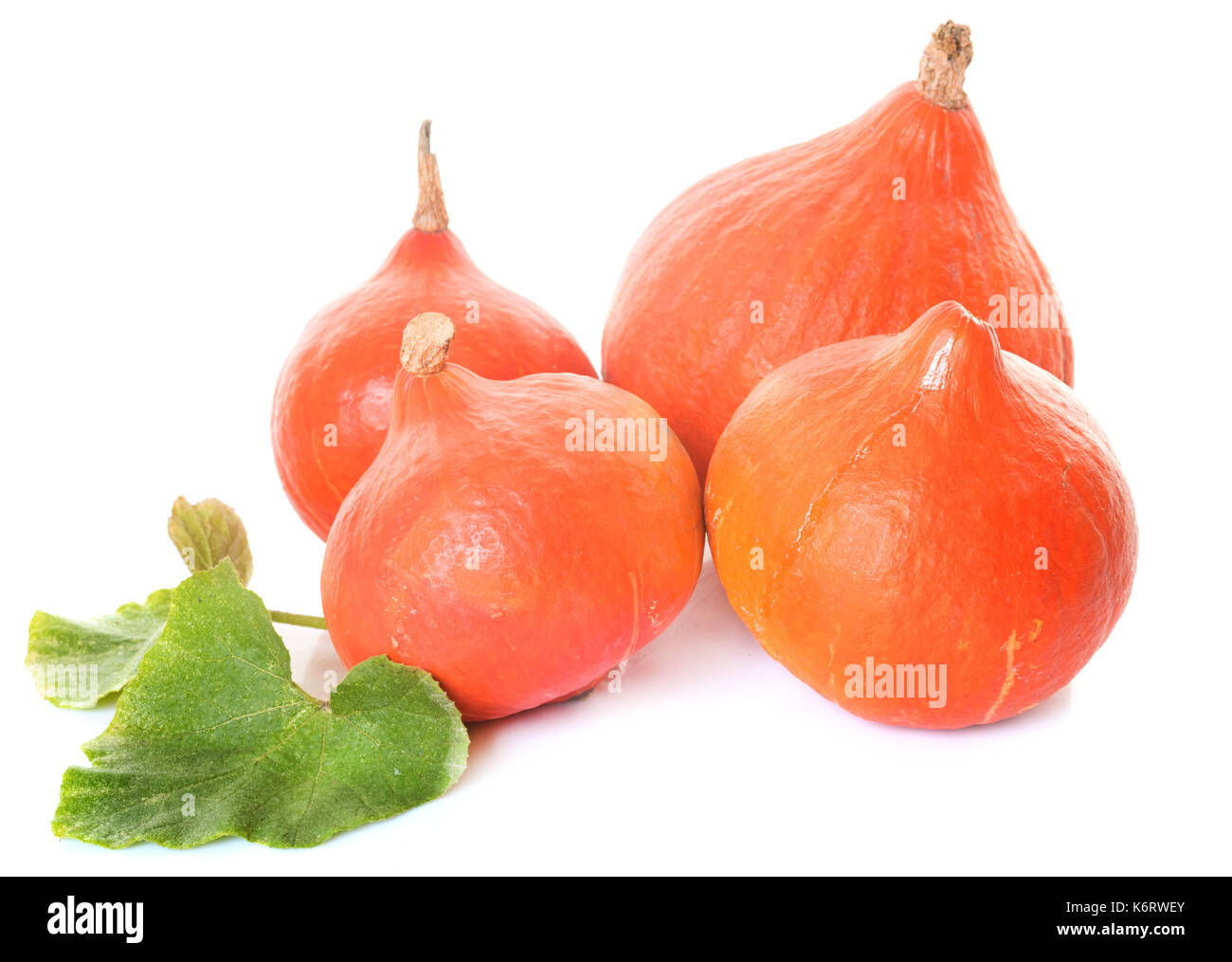 Red kuri Squash vor weißem Hintergrund Stockfoto