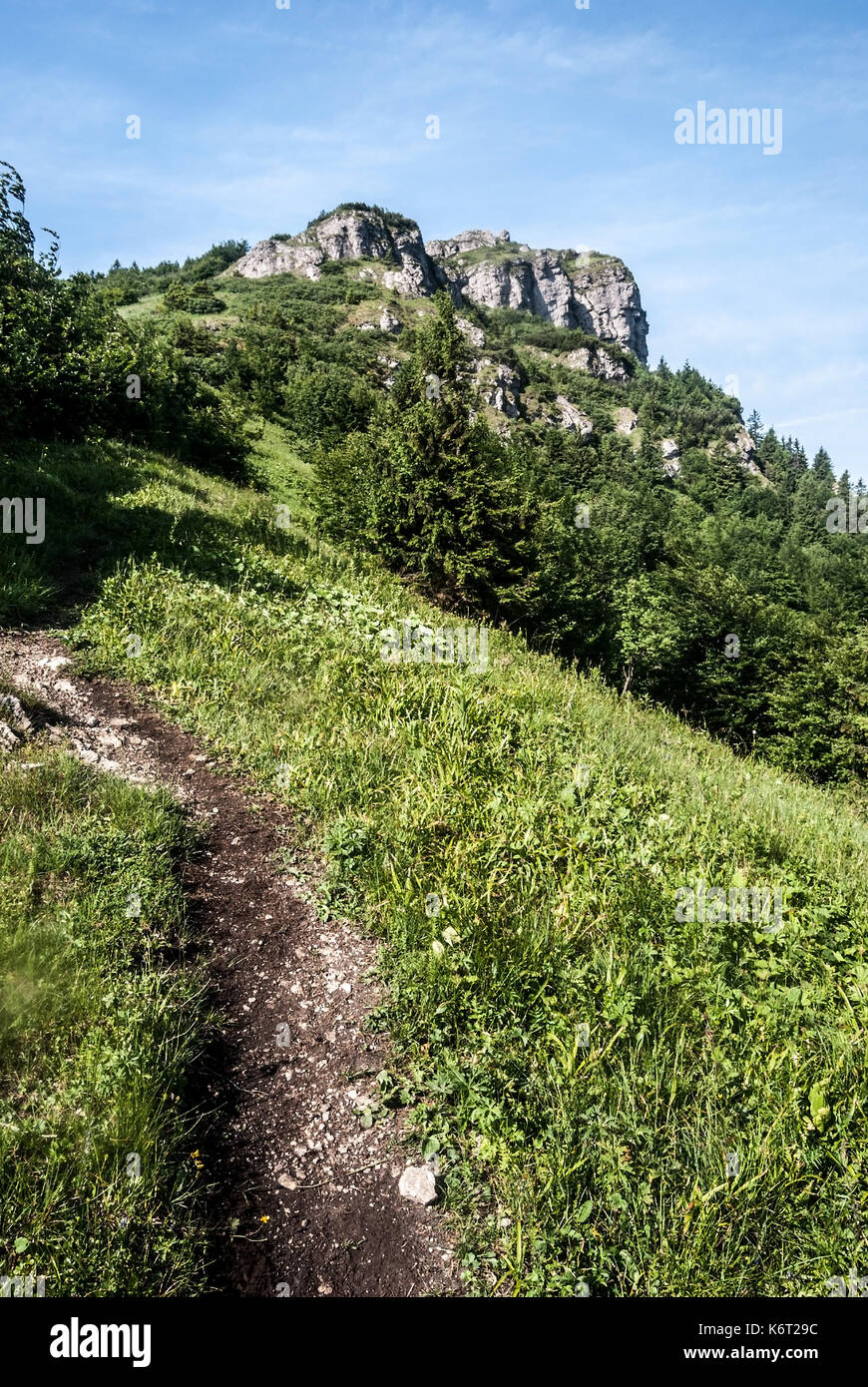 Rocky Kalkstein Klak Hill in der Mala Fatra Gebirge in der Slowakei mit Wiese, Wald, Wanderweg und blauer Himmel Stockfoto