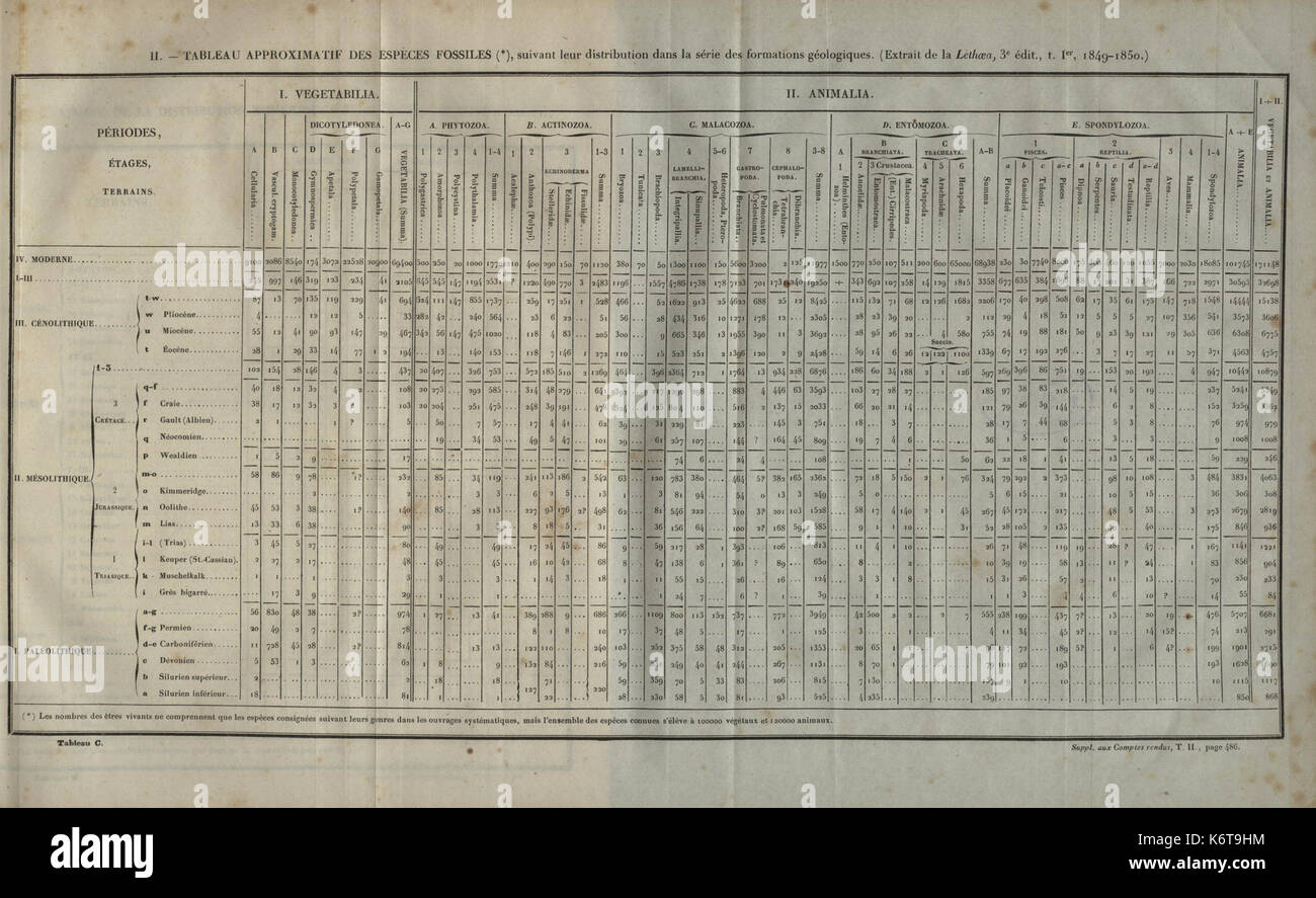 Essai d'une Reponse a la Frage de prix proposee en 1850 par l'Academie des Sciences pour le Concours de 1853, et puis Remise pour Celui de 1856, savoir BHL 34597198 Stockfoto