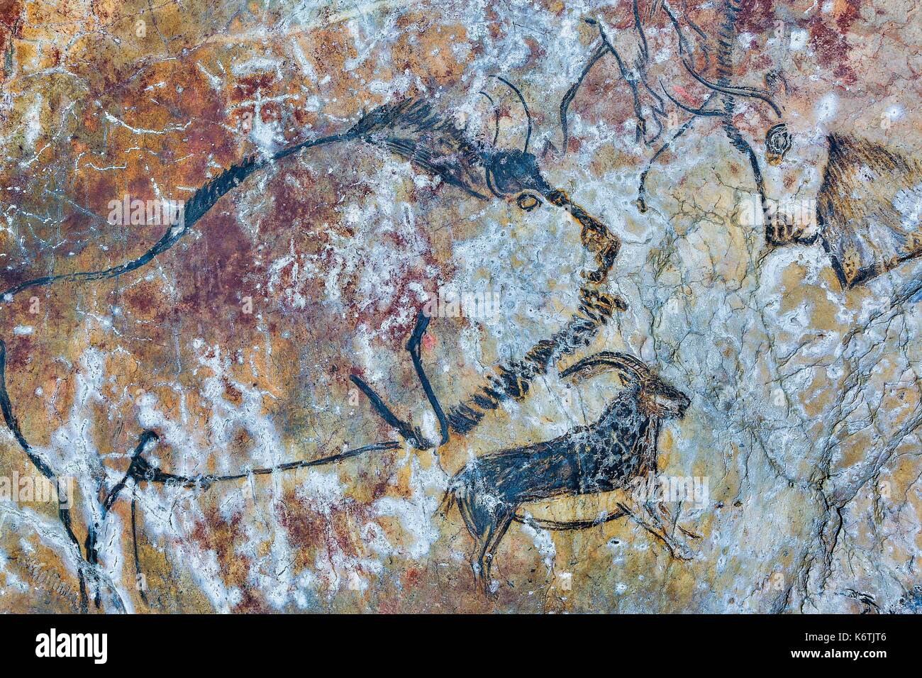 Frankreich, Ariège, an den großen Sehenswürdigkeiten in Midi Pyrenäen aufgeführt, Regional Park Ariege Pyrenäen, Niaux, Niaux Höhle, Höhle von Niaux Gemälde Stockfoto