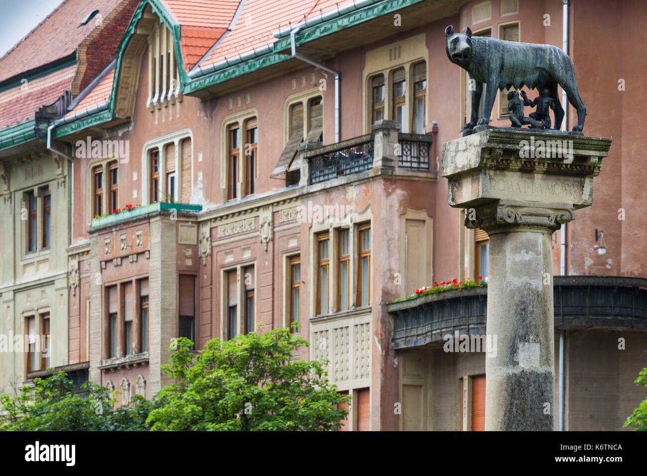 Rumänien, Banat Region, Timisoara, Piata Victoriei Square, Romulus und Remus Spalte Stockfoto