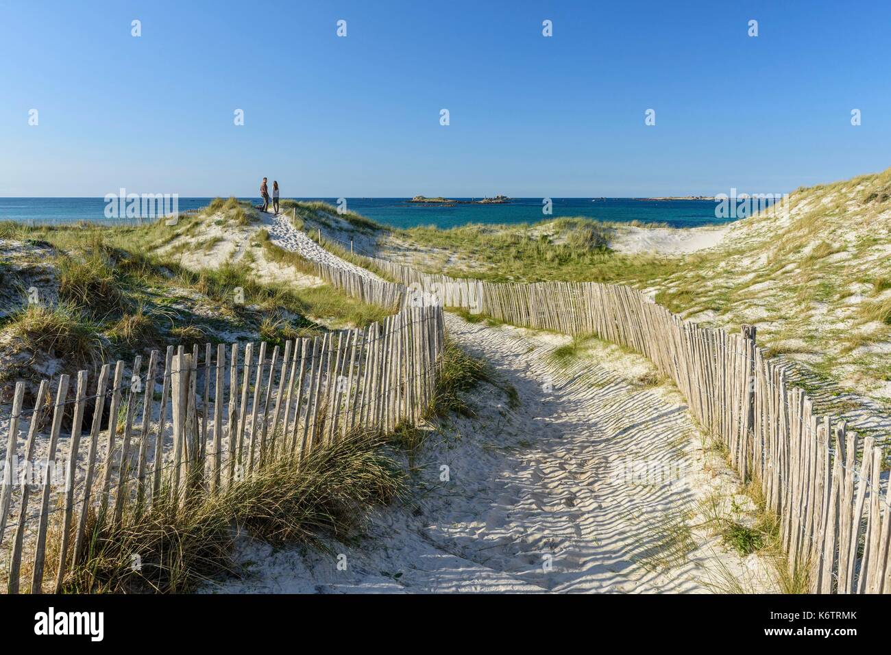 Frankreich, Finistre, Landeda, Spaziergang über die Dünen von Sainte-Marguerite Halbinsel Stockfoto