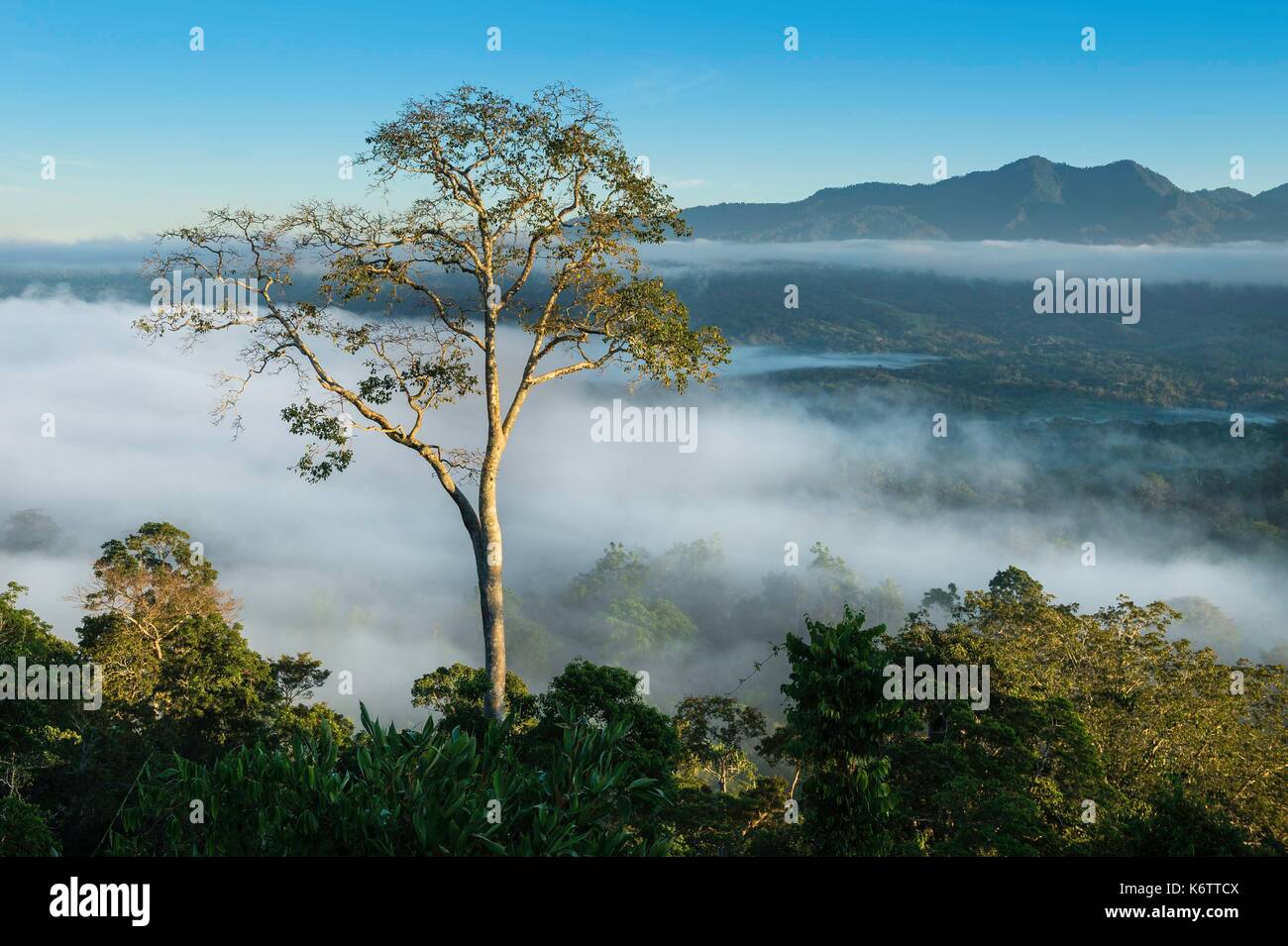 Papua-neuguinea, Oro Provinz, Region, Kawawage Managalas Plateau Dorf Stockfoto