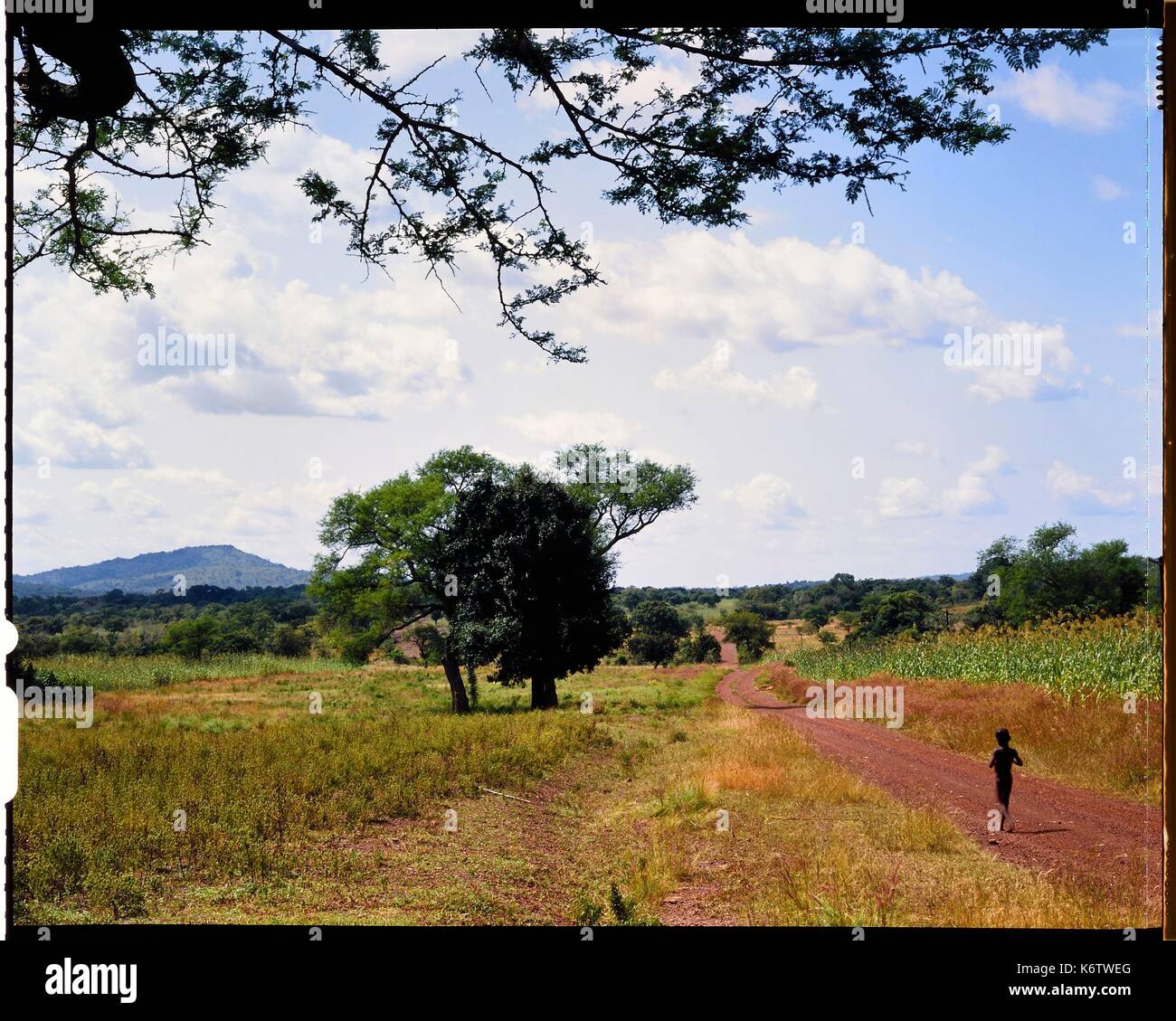 Burkina Faso, Poni Provinz, Lobi Land, auf der Schiene von Gaoua zu LoropŽni Stockfoto