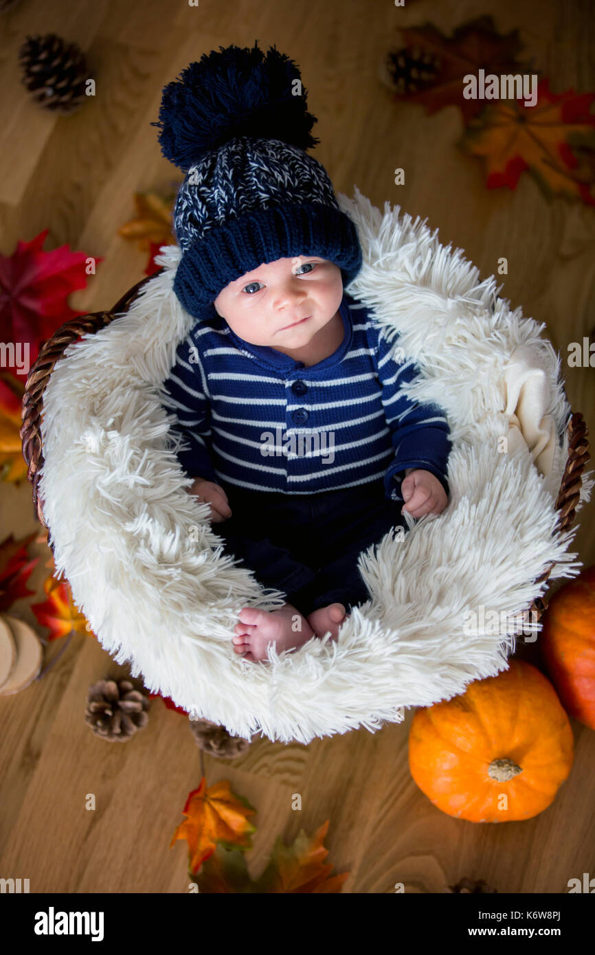 Cute Baby Boy mit kblue nitted hat in einem Korb, Kürbisse, Blätter und Kiefern, um ihn herum, Herbst Halloween Konzept Stockfoto