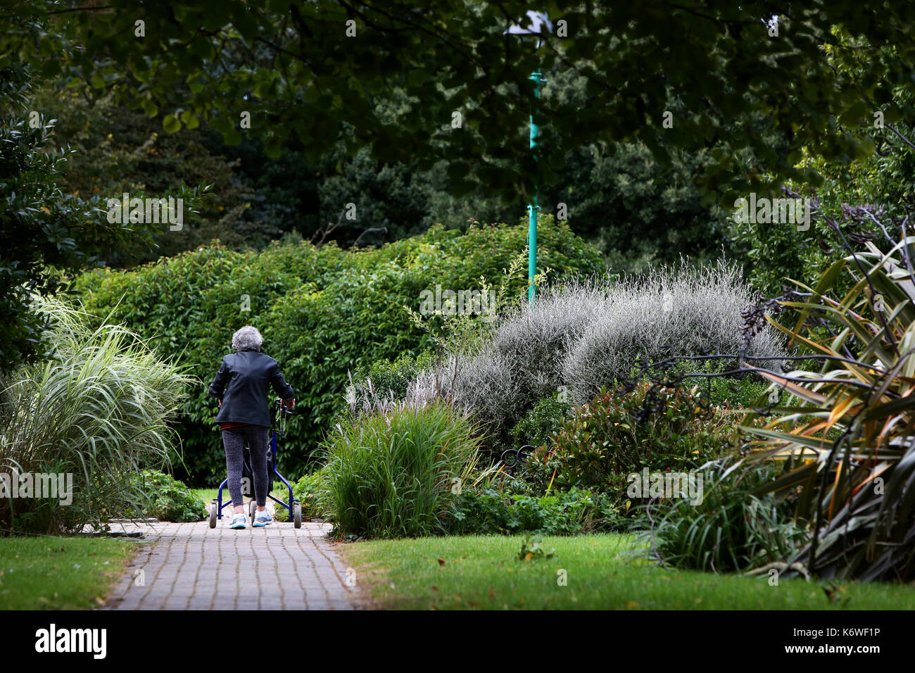 Eine ältere Frau abgebildet langsam mit einem Tri walker Hilfe durch einen Park im Felpham, West Sussex, UK. Stockfoto