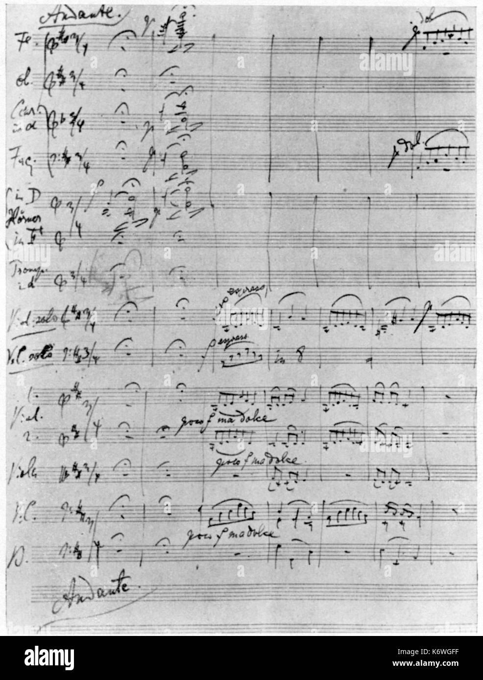 BRAHMS, Johannes - Doppelkonzert für Violine & Cello autographe Partitur der Eröffnung des langsame Bewegung von Brahms' Doppelkonzert für Violine und Violoncello, Op.102, 1887 Deutscher Komponist, 7. Mai 1833 bis 3. April 1897 Stockfoto
