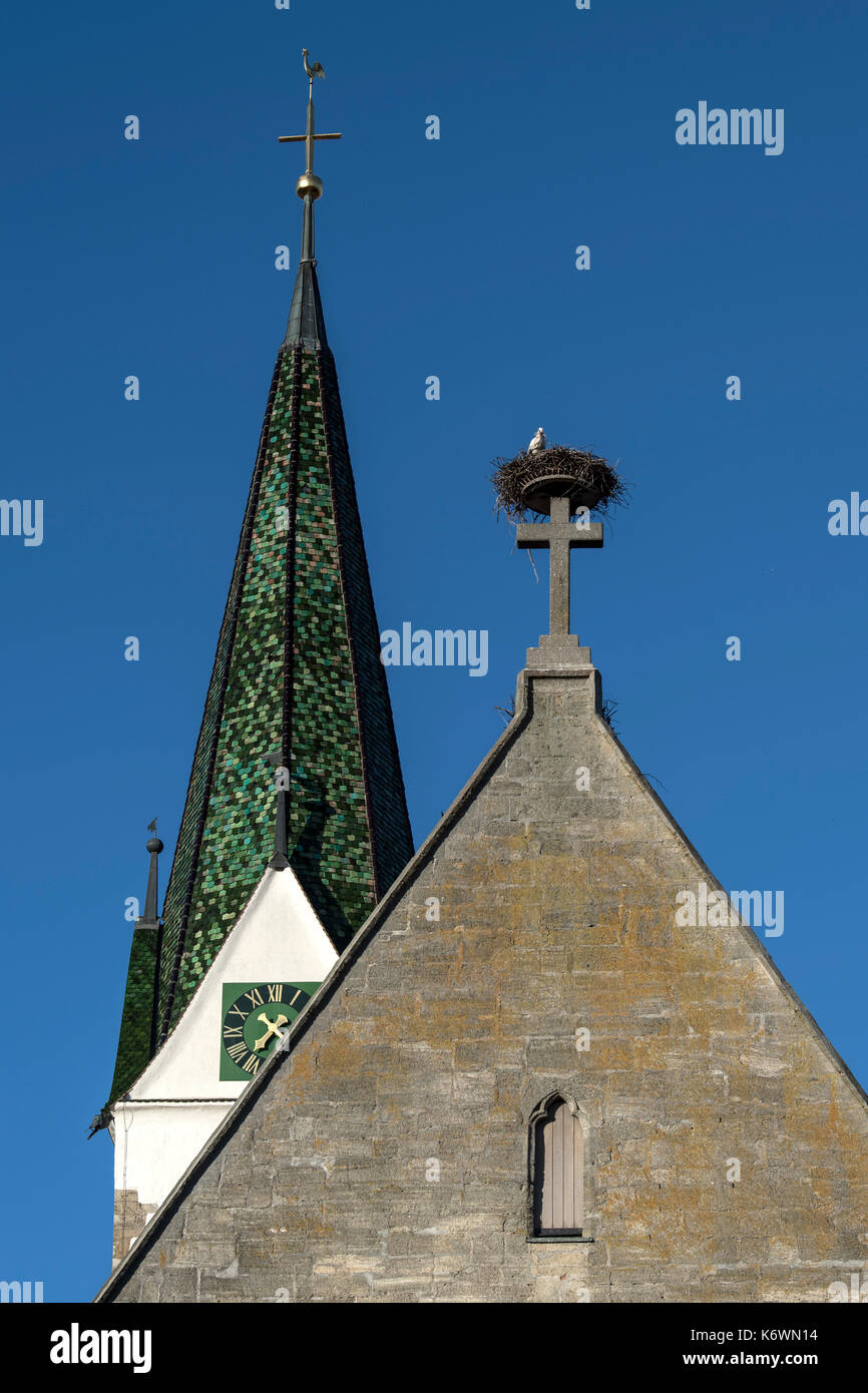 Weißstörche (Ciconia ciconia), im Nest auf der katholischen Pfarrkirche St. Johannes Baptist, Bad Saulgau, Baden-Württemberg, Deutschland Stockfoto