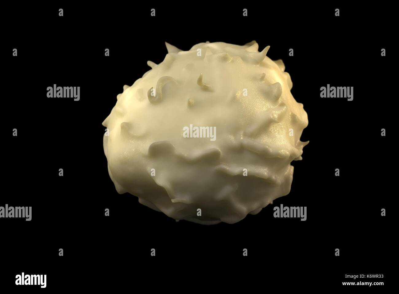 Single basophil auf schwarzem Hintergrund isoliert. Die weißen Blutkörperchen. Basophile Granulozyten enthalten Gerinnungshemmer Heparin, verhindert der Blutgerinnung zu schnell. Stockfoto