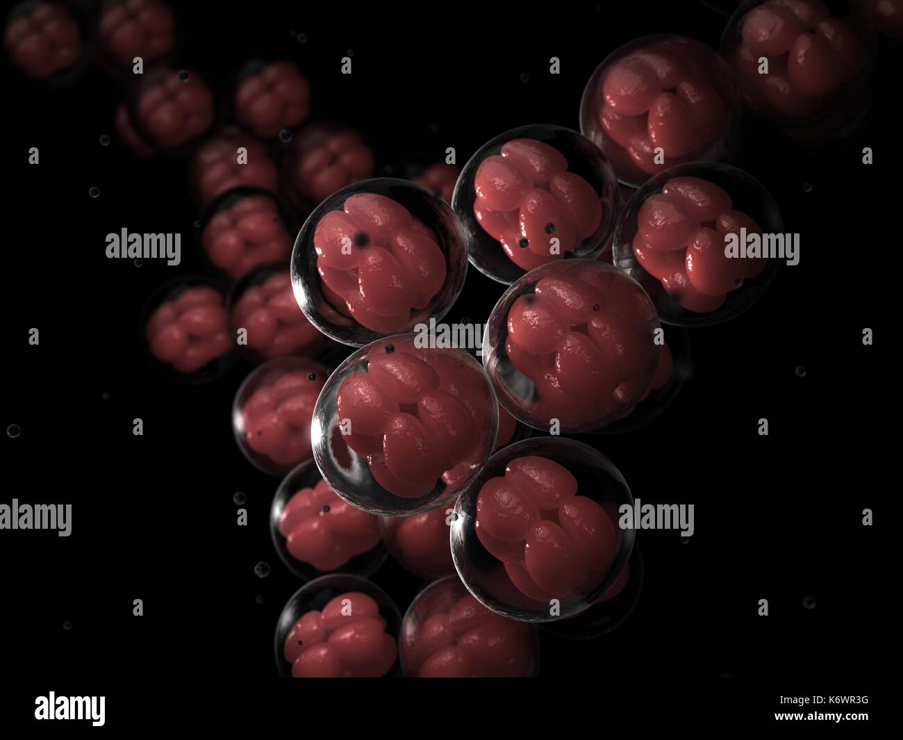 Künstlerische Darstellung der Zellteilung und der Mitose in der Replikation von Zell- und DNA-Material. Stockfoto