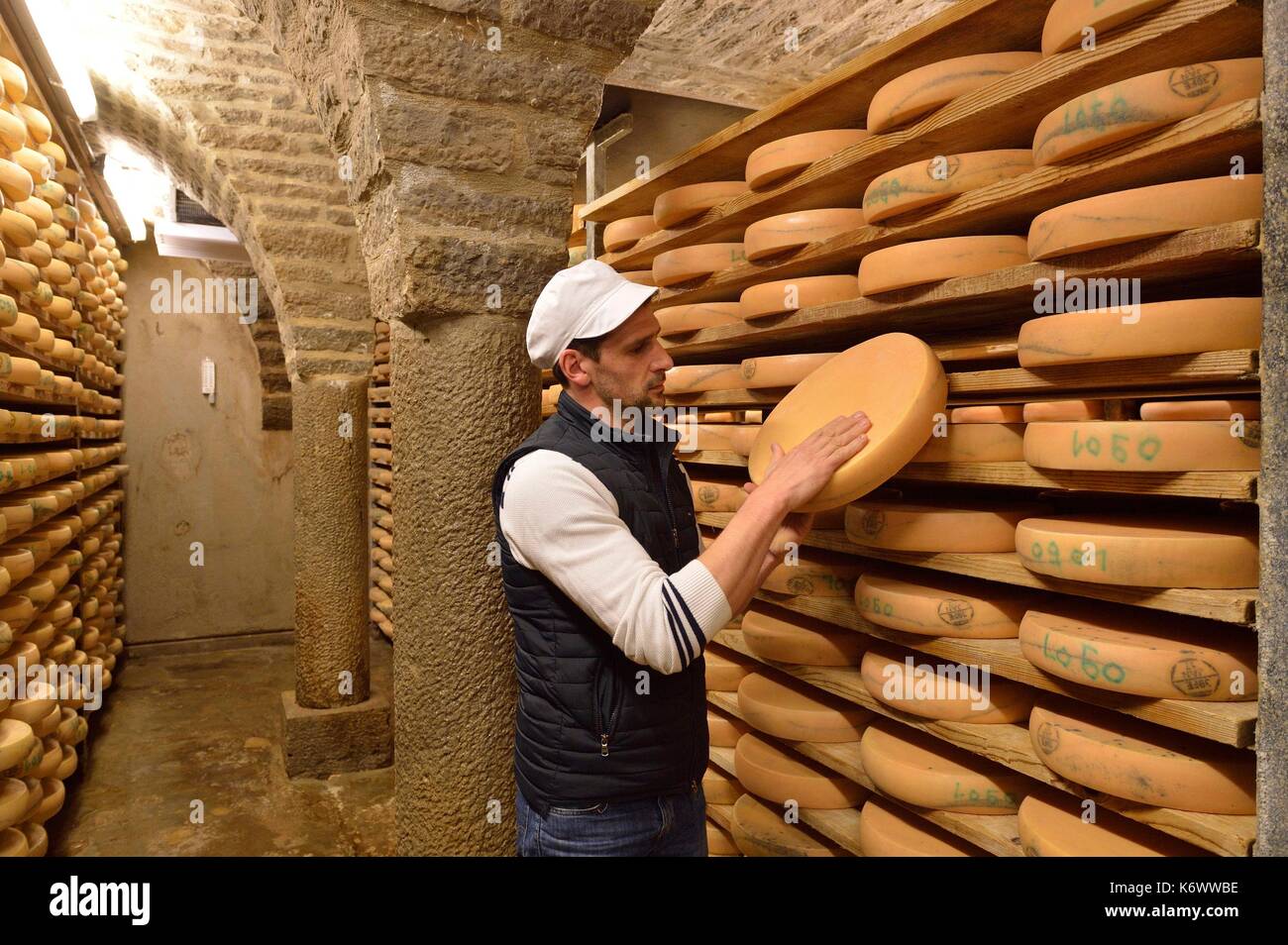 Frankreich, Jura, Grange sur Baume, Morbier Käse Keller, Hubert Poulet Stockfoto