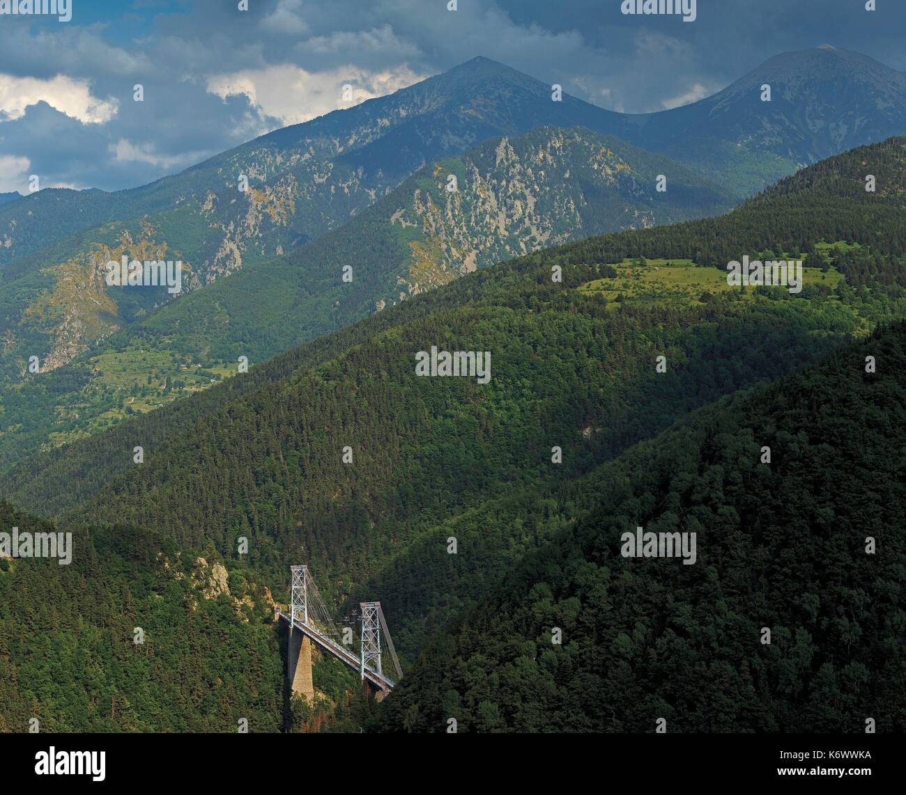 Frankreich, Pyrenees Orientales, Natural Regional Park katalanischen Pyrenäen, Tet Tal, Flugzeuge, gisclard Brücke, Le Train Jaune, Brücke Gisclard im Sommer Stockfoto