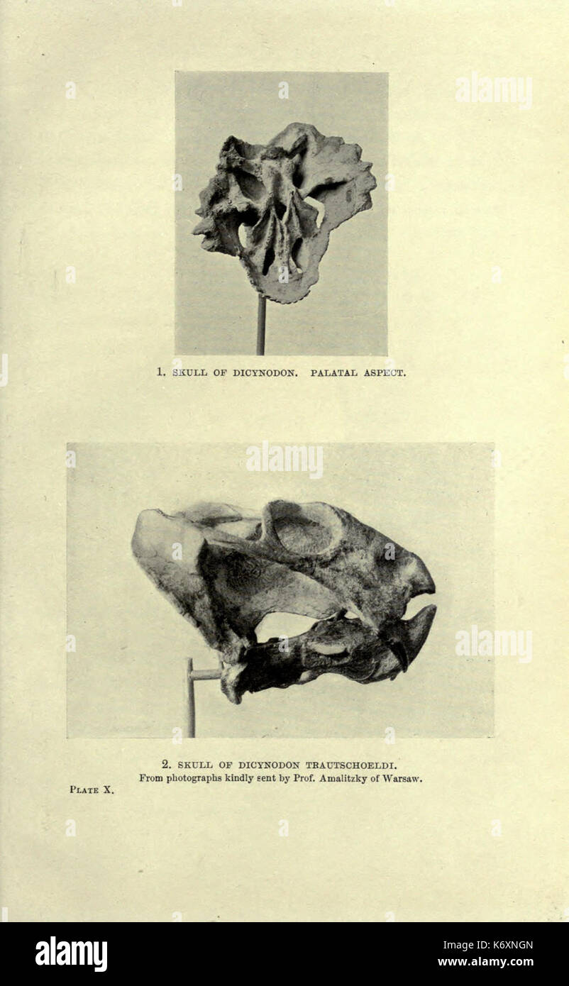 Ausgestorben Monster und Kreaturen von anderen Tagen BHL 18850411 Stockfoto