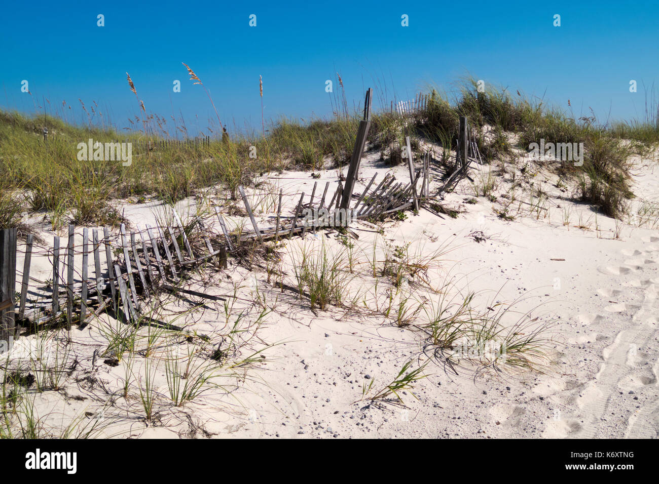 Sand Drift Control auf einer Düne zum Strand führt in Gulf Shores AL. Stockfoto