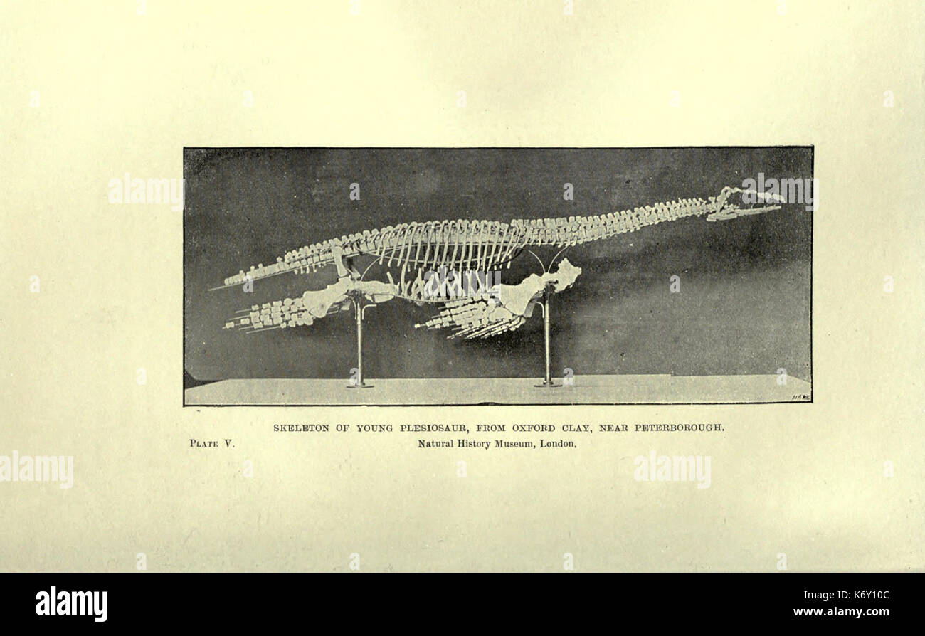 Ausgestorben Monster und Kreaturen von anderen Tagen BHL 18850372 Stockfoto