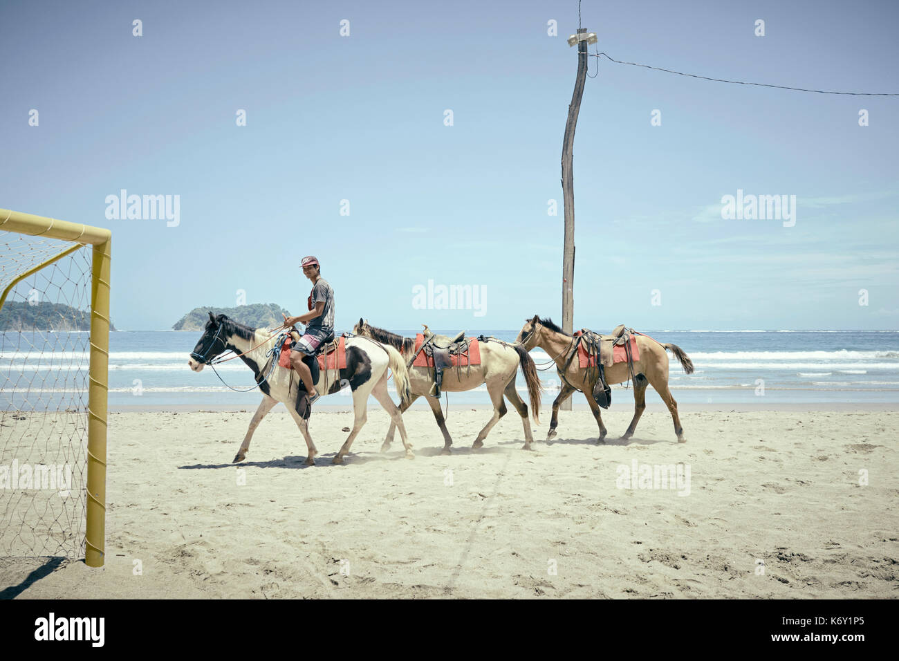 Mann ein Pferd reiten die führende touristische Pferde am Strand von Samara, Costa Rica Stockfoto