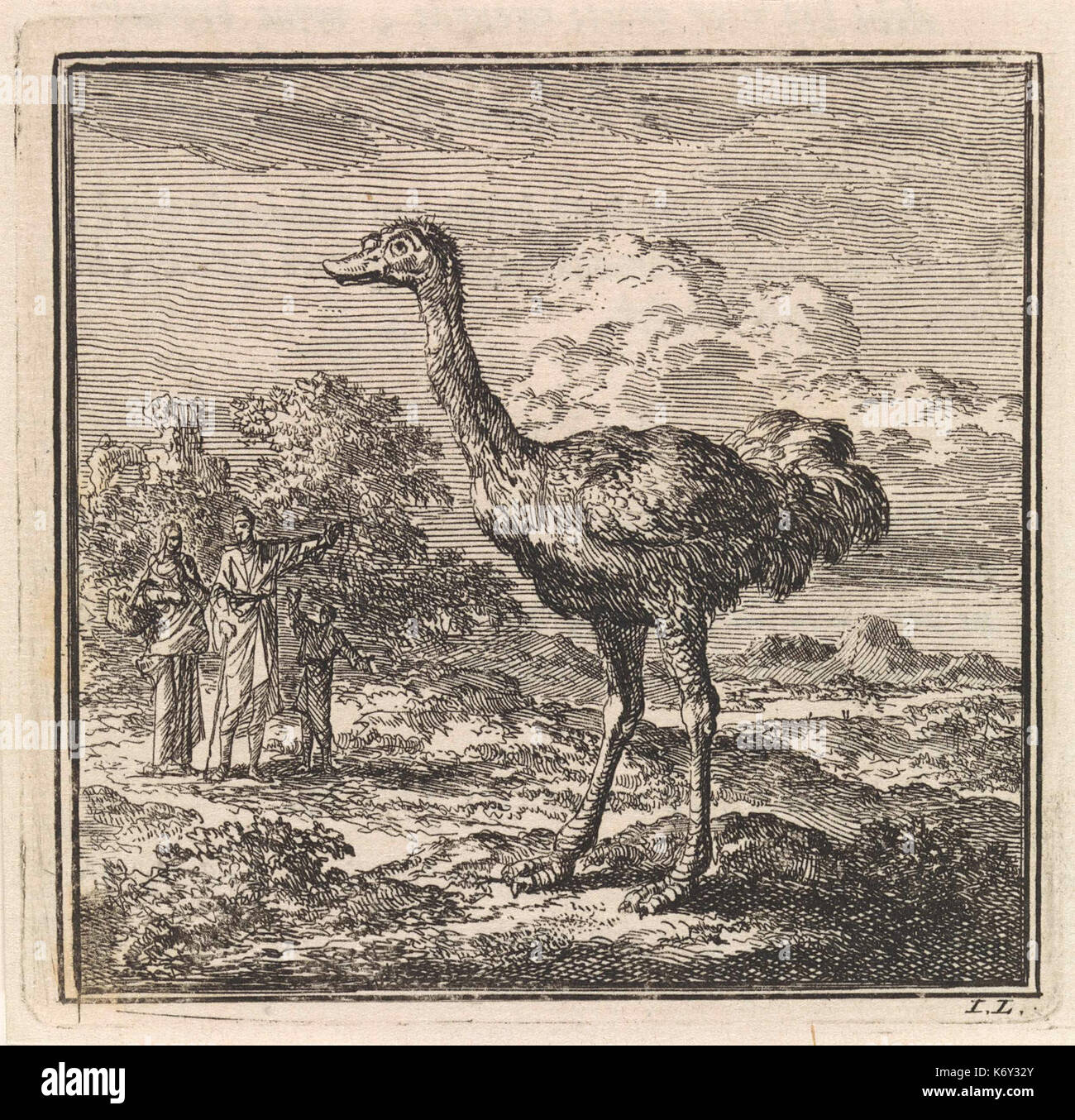 Enkele Figuren kijken naar een struisvogel Stockfoto