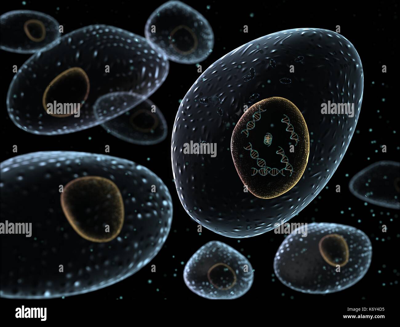 Künstlerische glühenden menschlichen Zelle Strukturen mit zentralen Kern, die DNA (Desoxyribonukleinsäure) Molekülen. Stockfoto