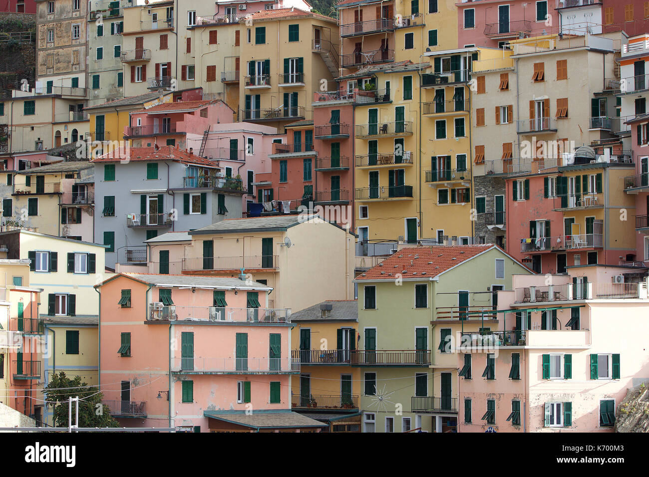 Nahaufnahme der schönen pastellfarbenen Häuser von Manarola, Cinque Terre, Italien Stockfoto