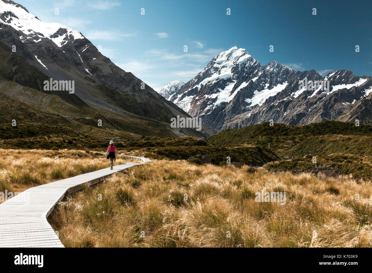 Hooker Valley Track und Mount Cook Stockfoto