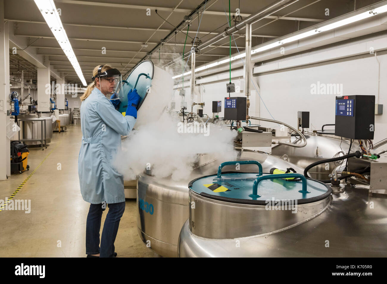 Fort Collins, Colorado - Amy Gurza, eine biologische Wissenschaft Techniker, öffnet ein Tank mit flüssigem Stickstoff, in der die Samen und andere genetikprodukte an-320 deg Stockfoto