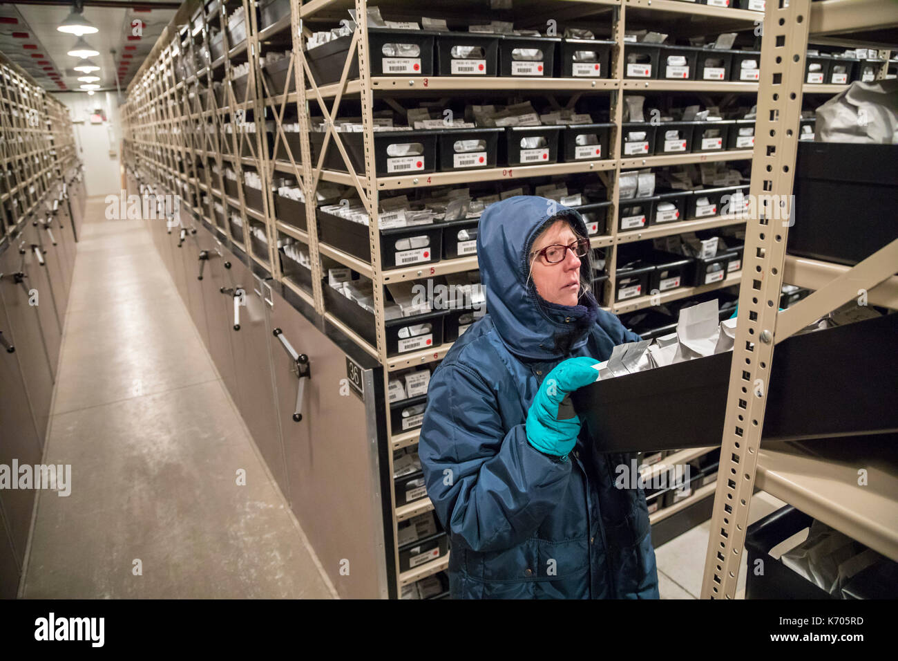 Fort Collins, Colorado - Amy Gurza, eine biologische Wissenschaft Techniker, sieht für Saatgut bei 0 Grad im Gefrierschrank aufbewahrt am nationalen Labor f Stockfoto