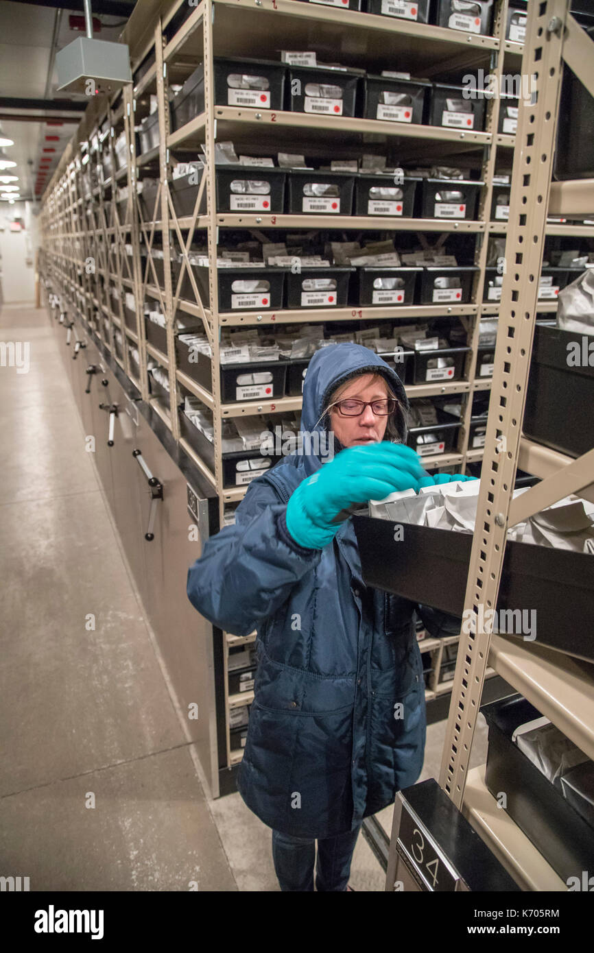 Fort Collins, Colorado - Amy Gurza, eine biologische Wissenschaft Techniker, sieht für Saatgut bei 0 Grad im Gefrierschrank aufbewahrt am nationalen Labor f Stockfoto