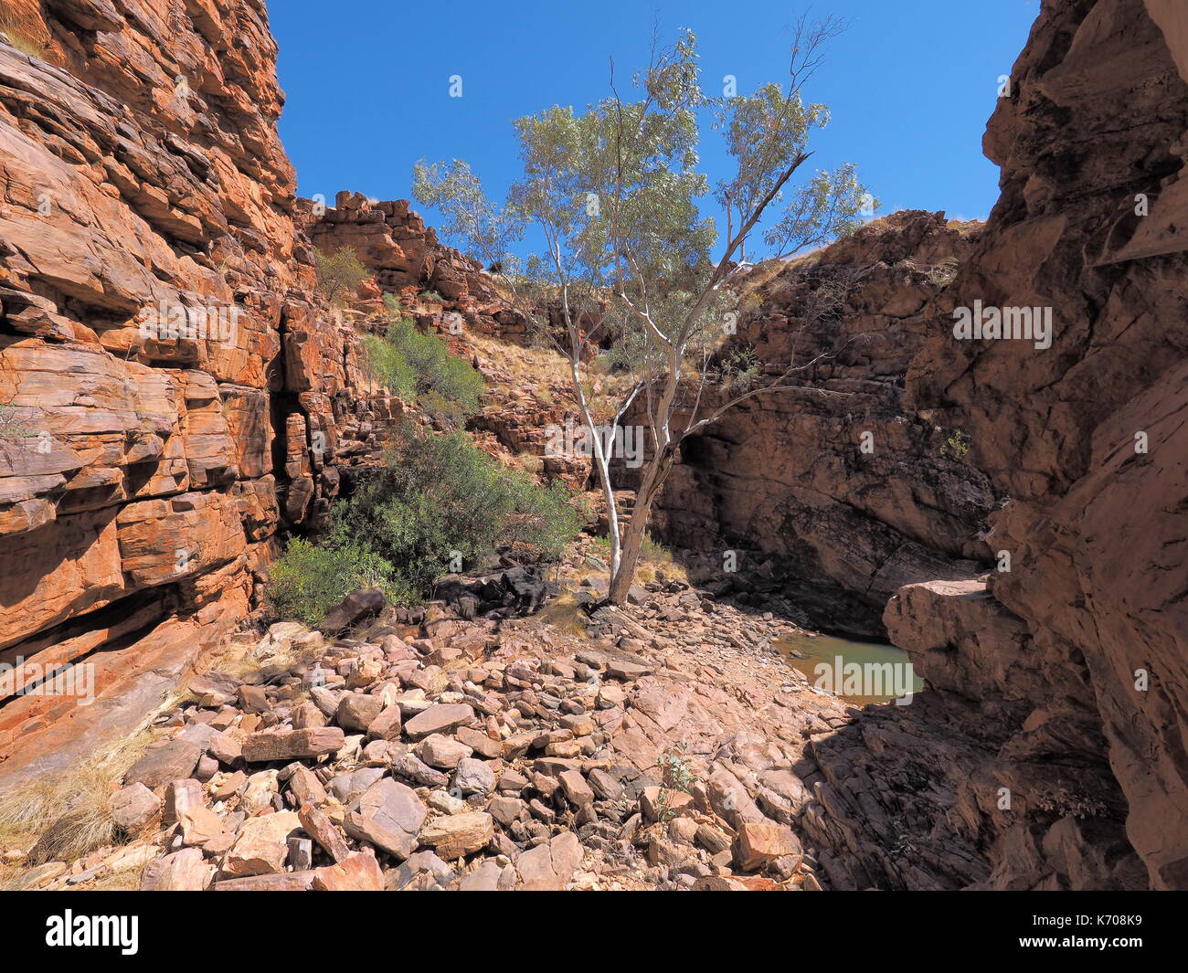 John Hayes rockhole in der Nähe von Trephina Gorge, East MacDonnell Ranges in der Nähe von Alice Springs, Northern Territory, Australien 2017 Stockfoto