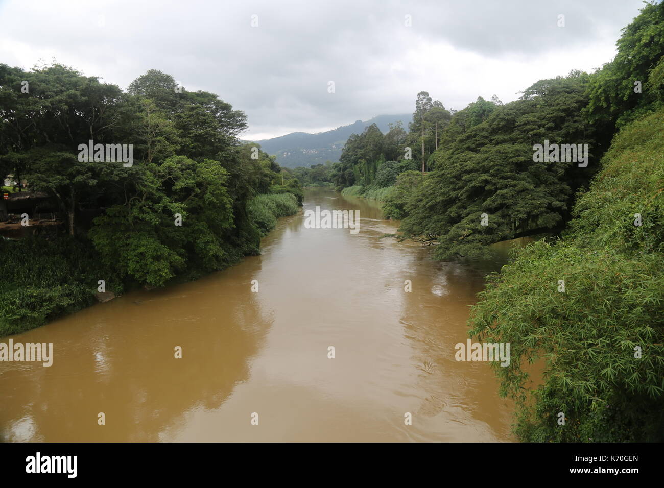 Kitulgala Fluß, Brücke am Kwai, Sri Lanka, Fluss, Dschungel, Südostasien, Sri Lankan Dschungel, Stromschnellen, tropischen Fluss, Exotische Stockfoto
