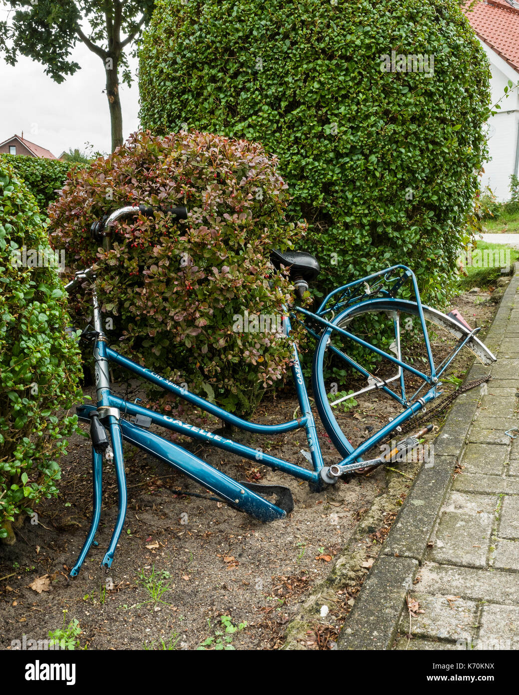 Langeoog. Deutschland. Deutschland. Ein verlassenes Fahrrad ohne Räder ist Linke lehnte sich gegen die Büsche auf dem Weg zum Parkplatz außerhalb der Langeoog Bahnhof - Inselbahnhof. Mit einer Ricoh GRII Kamera fotografiert. Stockfoto