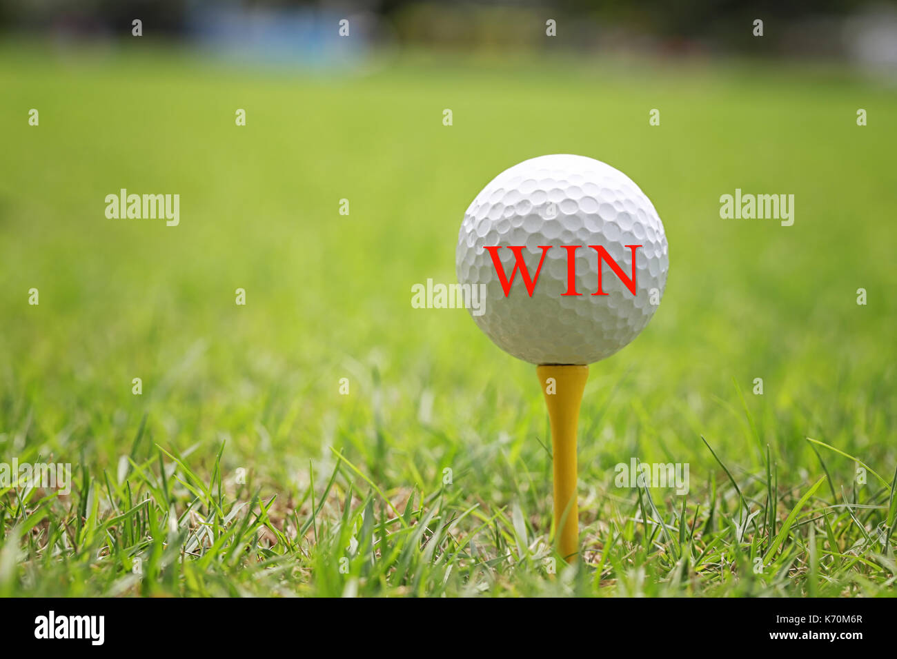 Der rote Brief von Win auf weißen Golf Ball für Design in ihrer Arbeit oder Präsentation. Stockfoto