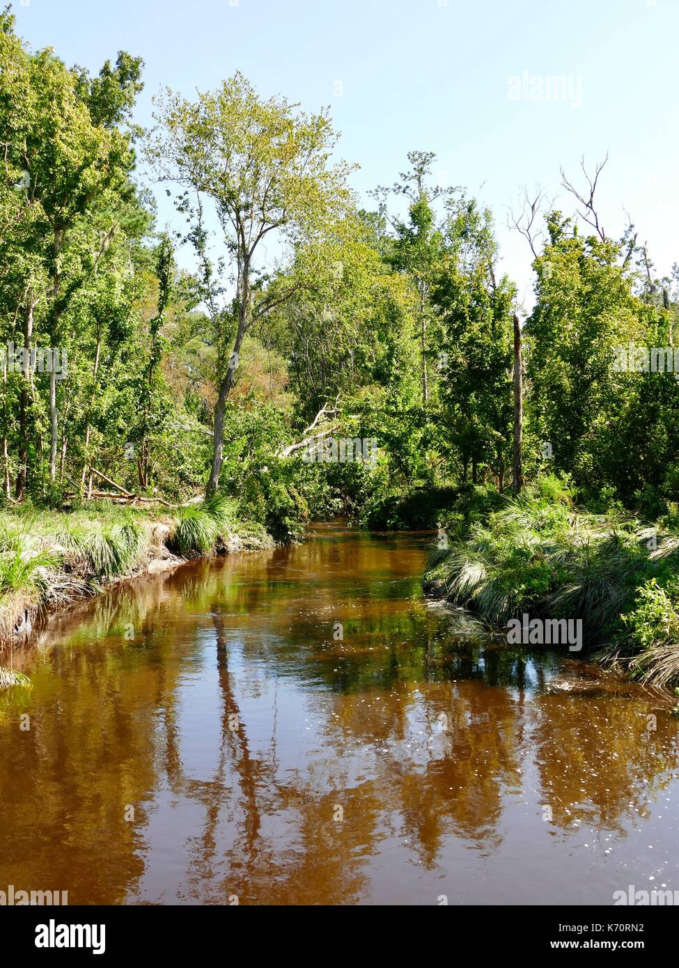 Creek geschwollen mit Wasser. Gainesville, Alachua County, Florida, USA, Stockfoto