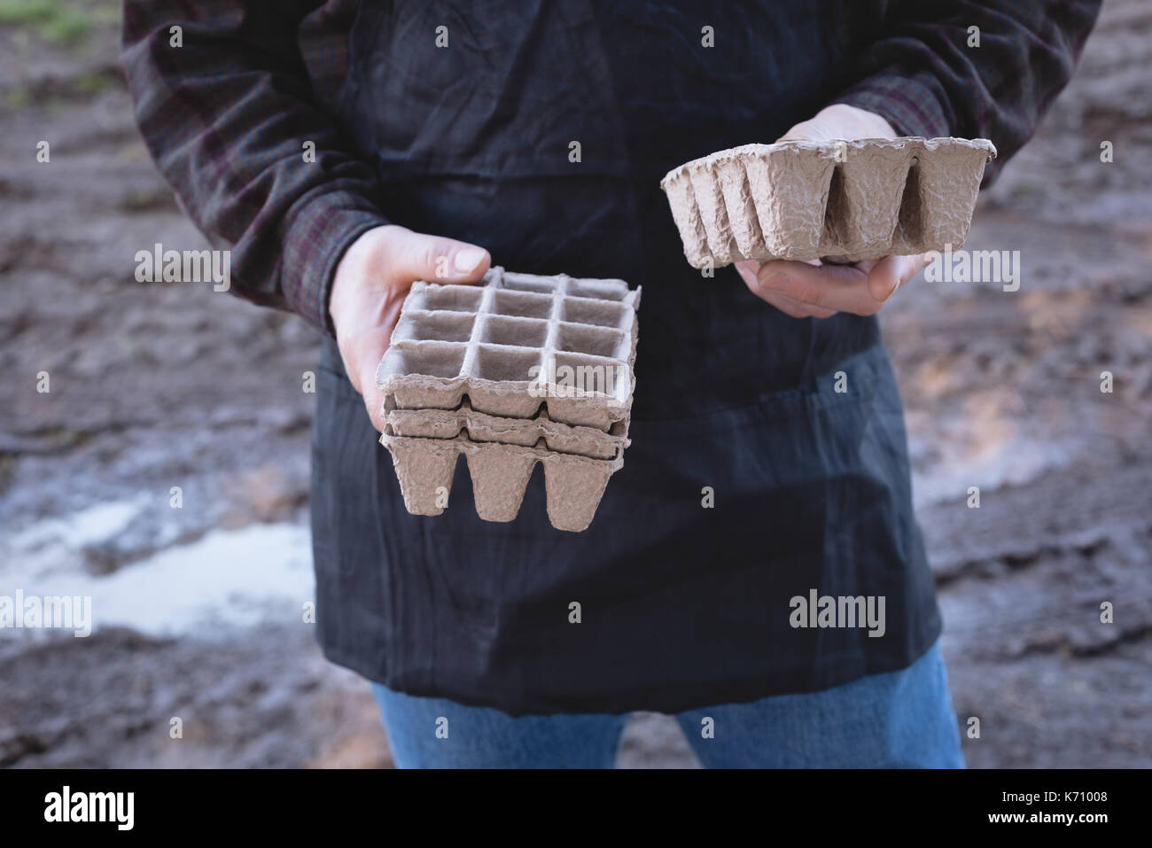 Im mittleren Abschnitt der Mann hält eine Pflanze Fach an einem sonnigen Tag Stockfoto