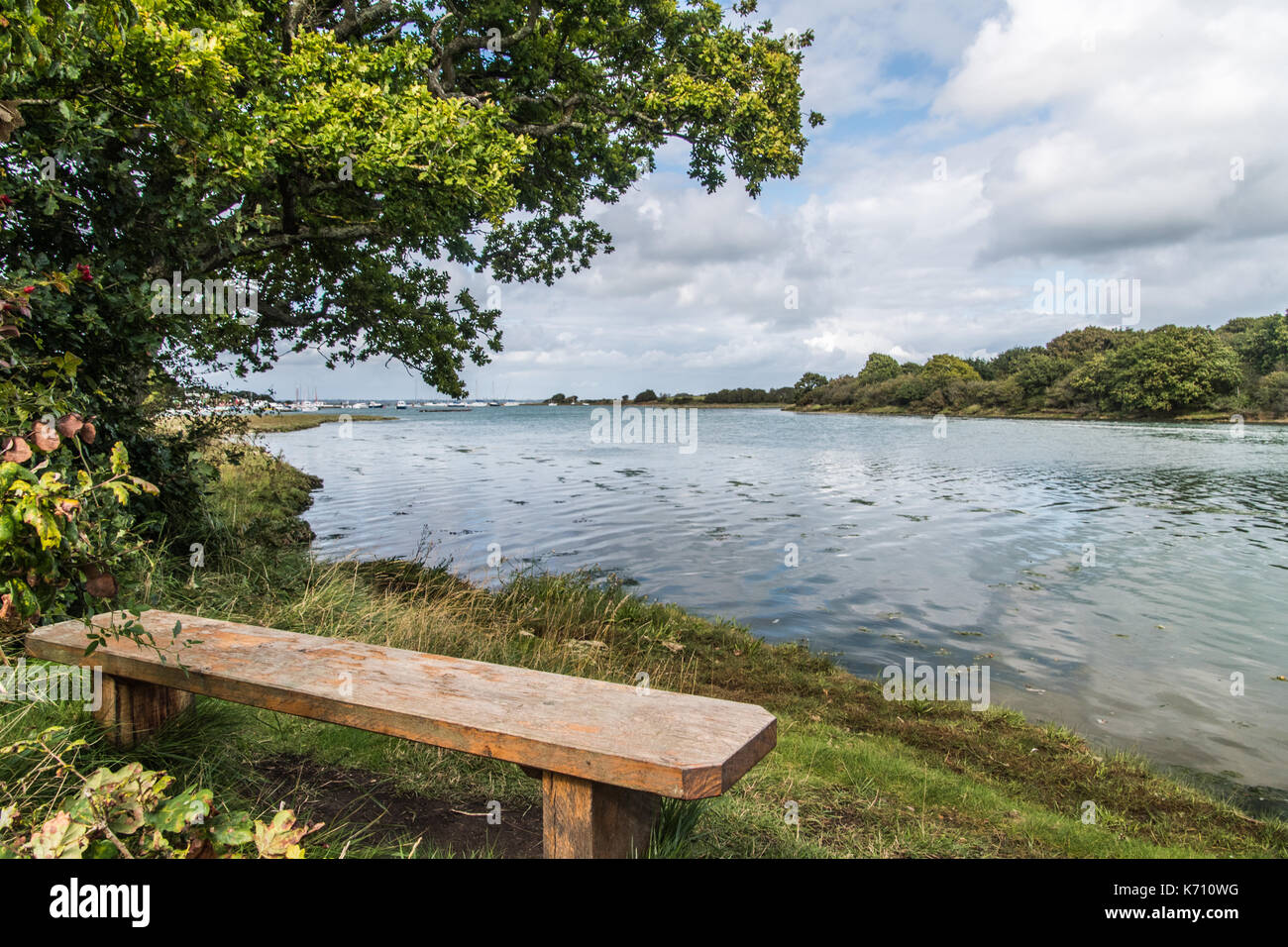 Sitzbank neben dem Creek Stockfoto