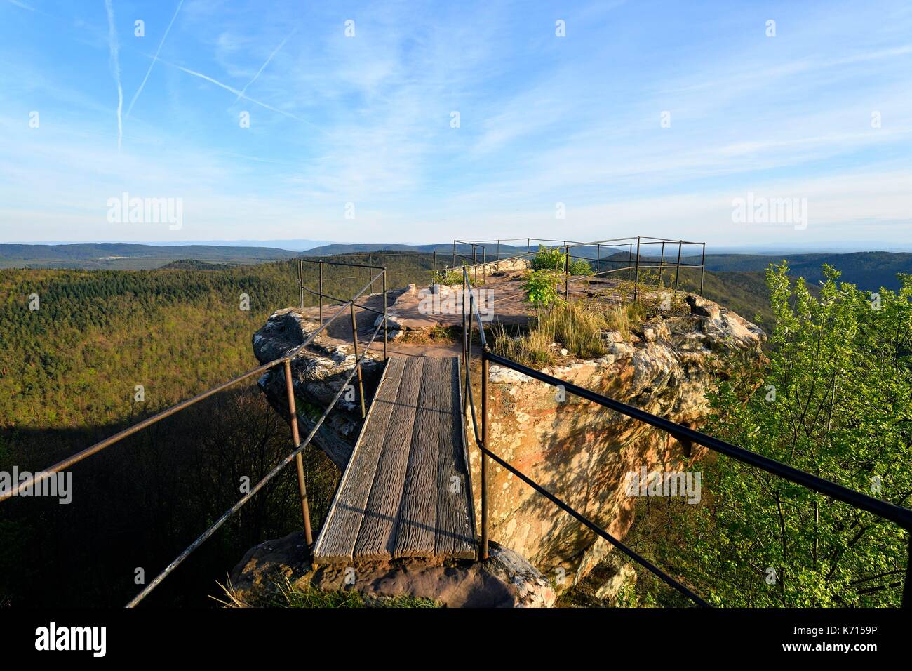 Frankreich, Bas Rhin, Lembach, Wanderweg in der Nähe von Fleckenstein Burgruine, weg von den Felsen, bis die Ruinen von Löwenstein Schloss Stockfoto