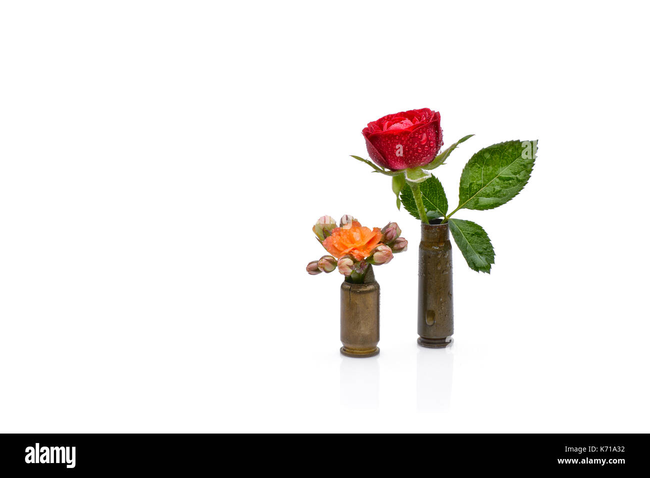 Rote Rose und Orange Aquarell Blume in einem riffle Kugeln symbolisieren Flower Power gegen auf Weiß isoliert Stockfoto