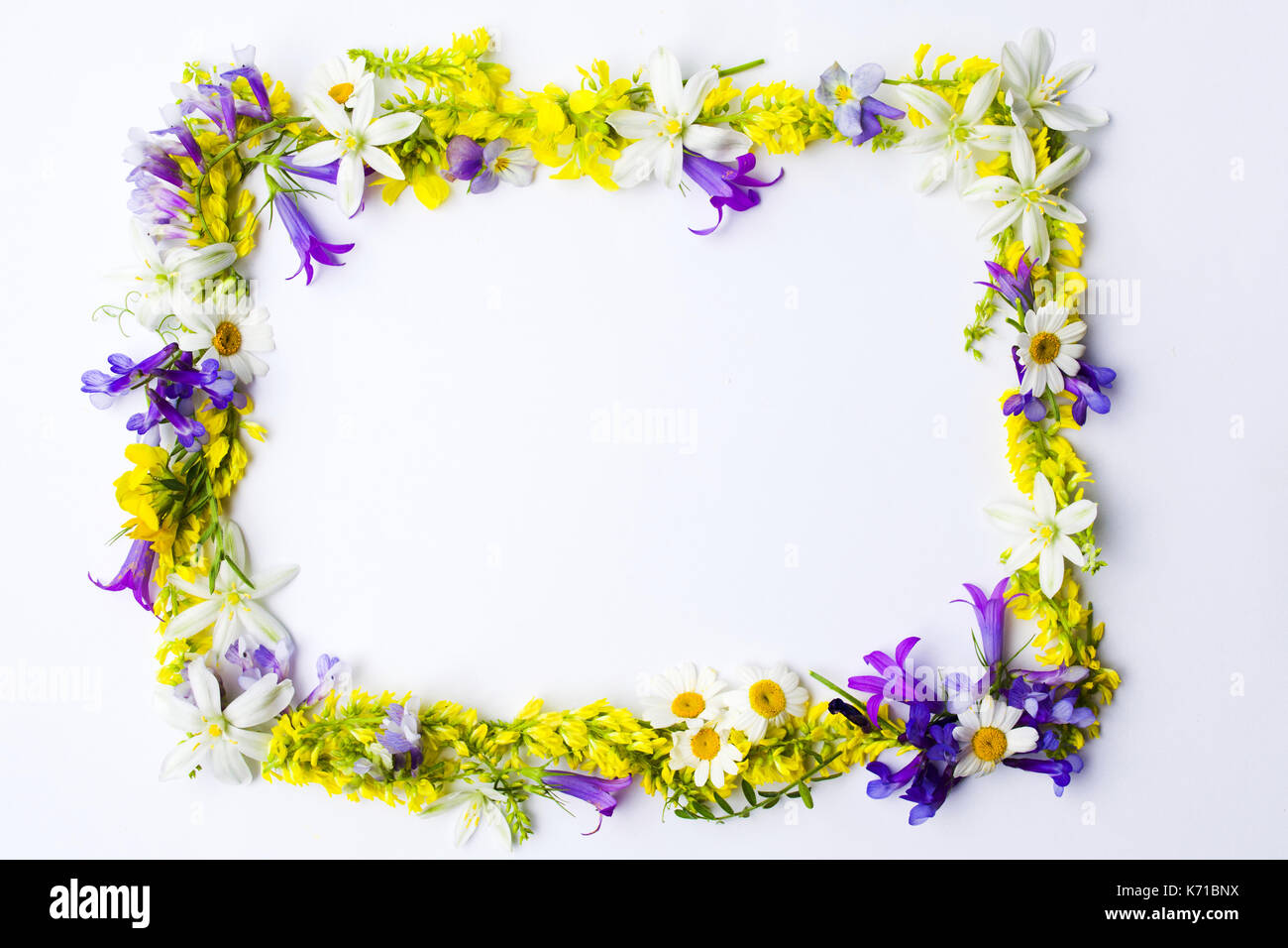 Wildblumen Anordnung mit Copyspace auf Weiß Stockfoto
