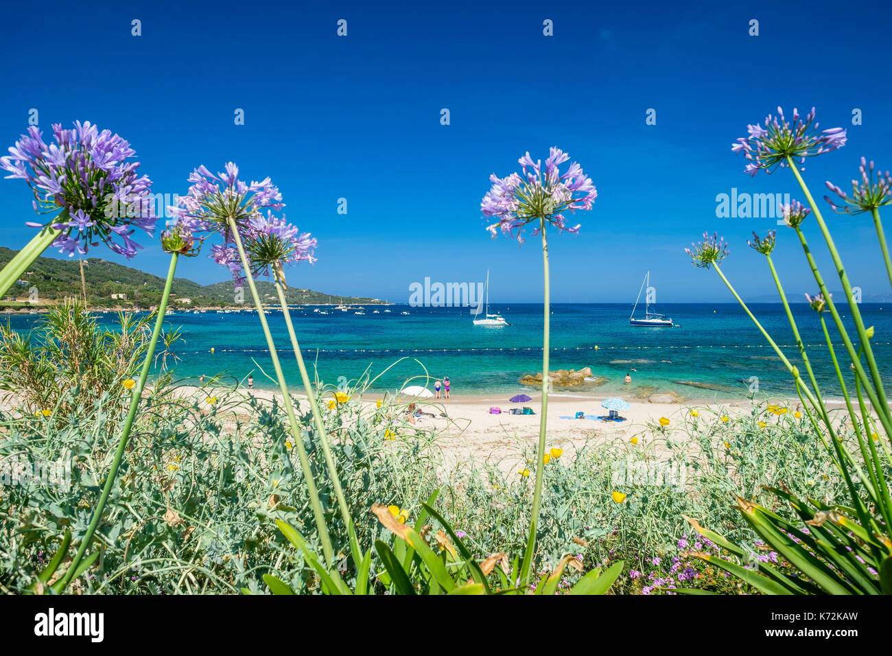 Frankreich, Corse-du Sud (2A), Golf von Ajaccio, Portigliolo Strand Stockfoto