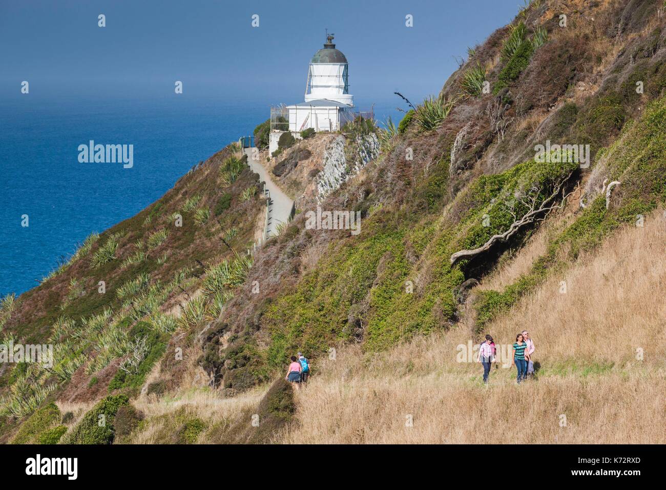 Neuseeland, Südinsel, Southland, The Catlins, Nugget Point, Nuggett Point LIghthouse, erhöht, Ansicht Stockfoto