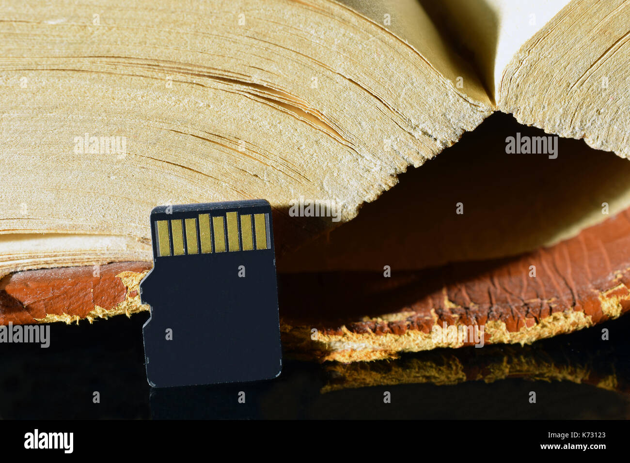 Micro-SD-Speicherkarte und alte dicke Buch hautnah. Stockfoto