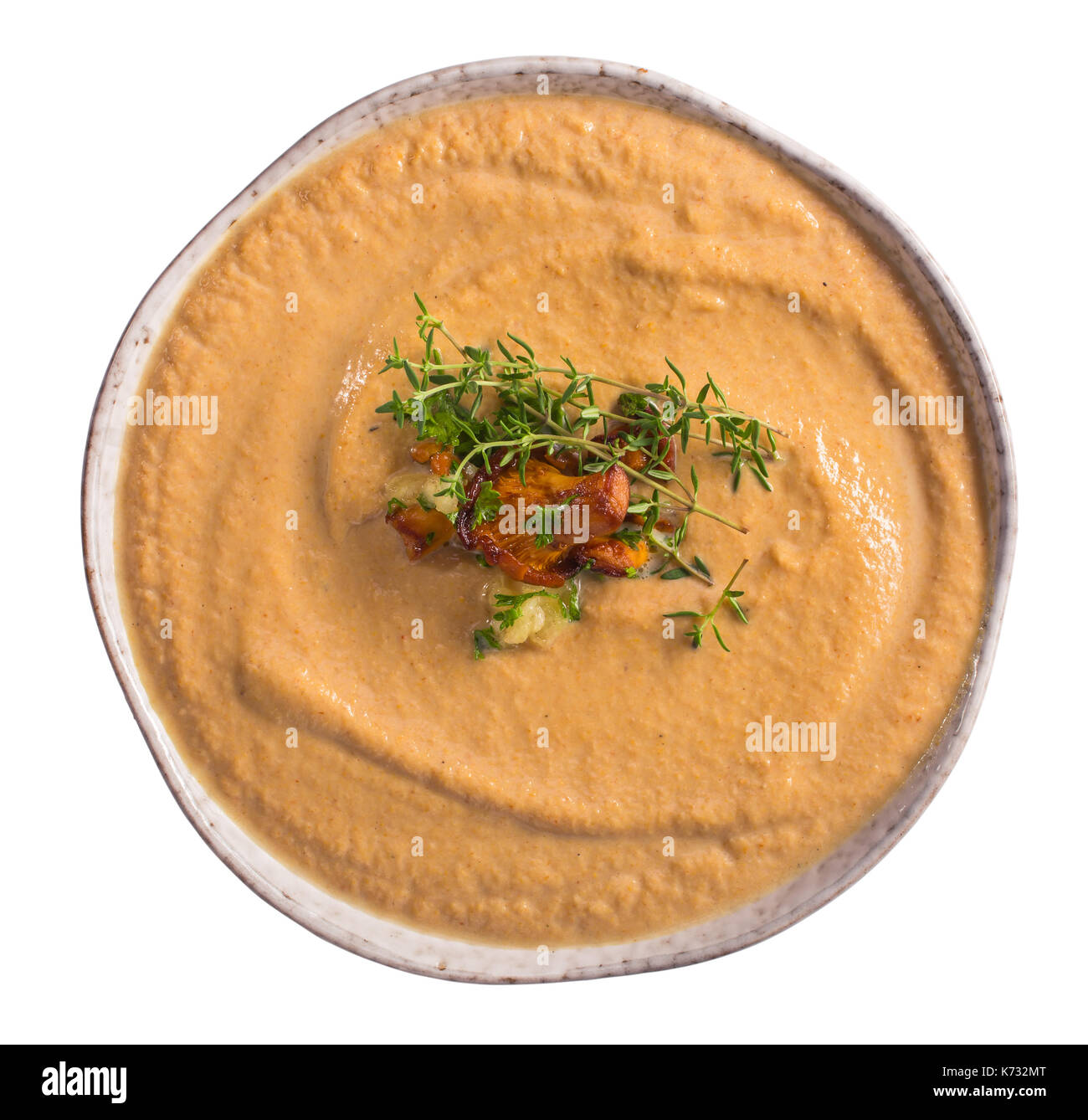 Chanterelle Suppe isoliert Stockfoto