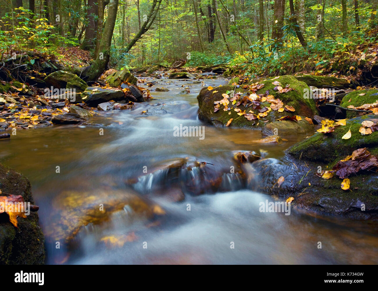 Ein Rückgang der Chattahoochee Flusses durch den Chattahoochee National Forest in Georgia, USA fließt Stockfoto