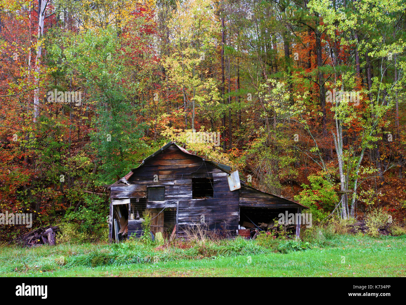 Einen Blick auf eine alte hölzerne Scheune von bunten Bäumen in der Mitte der Fallen in Georgien umgeben, USA Stockfoto